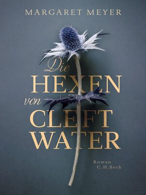 cover image of Die Hexen von Cleftwater